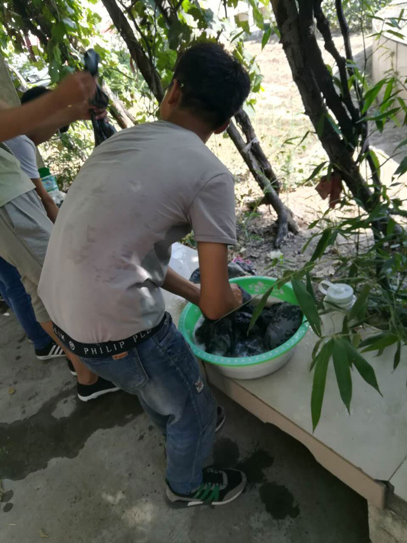 欧博abg官方网站老师教学生洗衣服